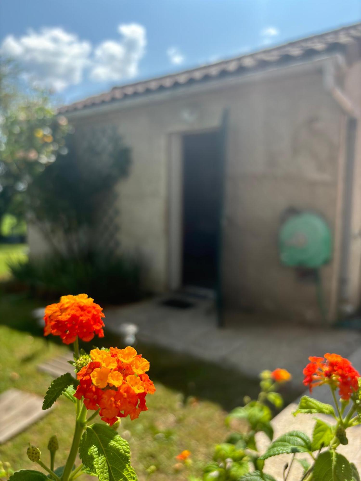 Studio En Auvergne Le Ruisseau Apartment Saint-Priest-Bramefant Exterior photo